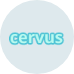 Registro de Marcas 13 - Newpatent